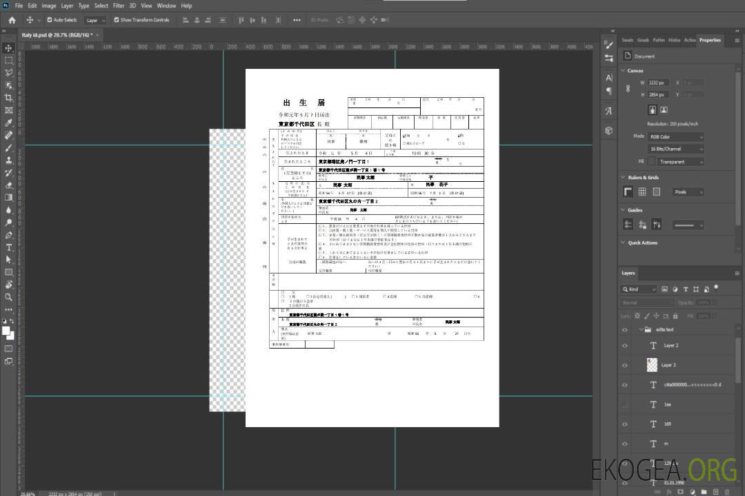 Modèle d'acte de naissance d'état civil du Japon au format Word et PDF template Modèle d'acte de naissance d'état civil du Japon au format Word et PDF template